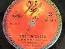 The Crickets-Has Pasado La Historia. Rolling Stones Cover Bolivia Latin Garage