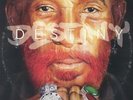 PERRY, Lee Scratch/BOB RIDDIM - Destiny - Vinyl (LP)