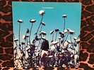 The Creatures Boomerang Vinyl