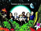 Connected by Stereo MC's (Record, 2019)