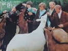 The Beach Boys 