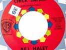 Bill Haley Rock n Roll 45 Chick Safari bw Hawk on Warner Brothers Records