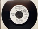 GRATEFUL DEAD - SUGAR MAGNOLIA / MR. CHARLIE, WB 766, PROMO 45 RPM, 1972, NM
