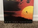 Now and Forever [LP] by Air Supply (Vinyl, Arista Records USA)