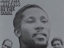 Toots And The Maytals - In The Dark Vinyl 1974 DRLS 5004 LP REGGAE
