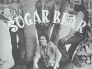 SUGAR BEAR Florida psych from 1972 VOID RECORDS Limited Edition Sealed Vinyl LP