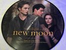 New Moon Twilight Picture Disc Vinyl Record LP Hot Topic Exclusive 45 RPM