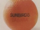 SUNBIRDS: ZAGARA [LP vinyl]