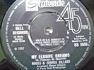 MOSES & JOSHUA DILLARD.MY ELUSIVE DREAMS.7