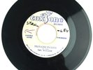 The Wailers - Love And Affection (Coxsone Records) Vinyl 7