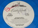 BEACH BOYS SIGNED BY BRIAN WILSON AL & CARL 1979 Blue Vinyl 12 inch WLP DJ PROMO