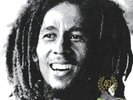 Bob Marley & The Wailers ‎– Kaya - LP-vinilo