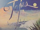 original MINT SEALED 1976 ZZ TOP LP: TEJAS / London ps 680 / no barcode/ no cuts