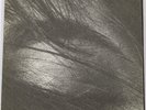 Charlotte Gainsbourg Hey Joe Ltd Record Store Day 7
