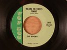 The Rugbys  Walking The Streets Tonight/Endlessly Kentucky Garage 1966 Top Dog