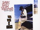 Stevie Ray Vaughan Double Trouble The Sky Is Crying 2LP Vinyl 45RPM AAPB101-45