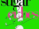 THE SUGARCUBES LIFE'S TOO GOOD NEW LP