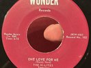 Georgia Rocker 45 HI LITES & RANDY HARD One Love For Me WONDER Rite Press VG+ *