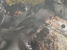 Vinyl Brodequin Methods of execution