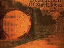 65daysofstatic - The Destruction Of Small Ide (Vinyl 2LP - 2007 - UK - Original)