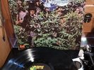Savoy Brown - A Step Further (LP, Album, )