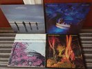 Echo And The Bunnymen Vinyl Albums & 12