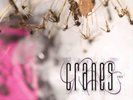 CRANES FUSE NEW LP