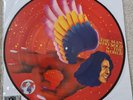David Bowie - The Man Who Sold The World Mint Record Store Day Picture Disc.