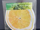 Fools Garden “Lemon Tree” RSD 2024 Shaped Picture Disc Vinyl Record Store Day