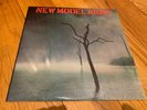 LP NEW MODEL ARMY - Thunder And Consolation DEMOS Rare 1991