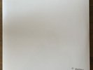 White Album Beatles In Mono Vinyl 2014