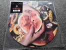Kate Bush Eat the Music 10’ Inch Picture Disc Vinyl  Record RSD 2024
