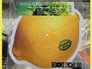 Fools Garden- Lemon Tree 10