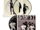 Fleetwood Mac Rumours RECORD STORE DAY 2024  PICTURE DISC VINYL x/7500 SEALED