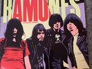 THE RAMONES - PLEASANT DEMOS  Lp  -  BUZZCOCKS , CLASH ,  UNDERTONES, GREEN DAY
