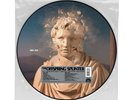 The Offspring Splinter (20th Anniversary) PICTURE DISC RSD 2024 FREE SHIPPING