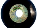 DOORS - Love Her Madly / You Need Meat  - Vinyl 45rpm 1971 Elektra EKS-45726