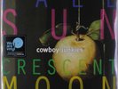 Cowboy Junkies: Pale Sun Crescent Moon -   - (LP / P)