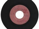 COASTERS  / STONY HILL / ROLAND ALPHONSO / BRIDGEVIEW SHUFFLE / 7''