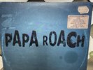 Papa Roach Greatest Hits Vol. 2 The Better Noise Years Gray Vinyl NM/EX