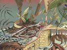 NU GUINEA - The Tony Allen Experiments: Afrobeat Makers Series Vol 3 - LP