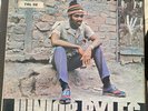 Beat Down Babylon by Junior Byles (Record, 1974/5)