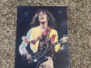 Peter Frampton Program & Poster  Original.  Frampton Comes Alive 1976