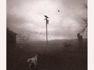 Farm Dogs - Last Stand In Open Country 2LP NEW RSD 2024 FREE SHIPPING