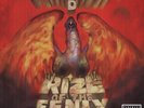 Tenacious D - Rize Of The Fenix  [VINYL]