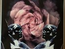 Rose Clouds Of Holocaust   Death In June
