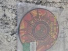 ALICE IN CHAINS WOULD? 1992   7” PICTURE DISC    VINYL RECORD   Numbered Edition