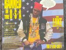 Luke Featuring The 2 Live Crew - Banned In The U.S.A. Vinyl