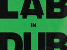 L.A.B. & Paolo Baldini DubFiles L.A.B. In Dub (Vinyl) 12