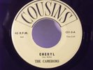 The Camerons,Cousins CS 1,